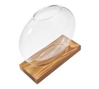 BAZEITFLOW Hydroponic Glass Container Pot with Wooden Base for Indoor Plant Propagation Transparent Vase for Cultivation Terrarium Display for Home Office and Window Decor