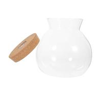 BAZEITFLOW LED Borosilicate Glass Ecological Bottle with White LED Light DIY Micro Landscape and Fish Tank for Home Decor Hydroponics Vase for Bedroom and Living Accent