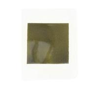 BAZEITFLOW Magnetic Field Viewing Film Sheet Portable Magnetic Pole Observation Paper for Physics Teaching Aid Laboratory Supplies Educational Tool for Magnetism Experiments