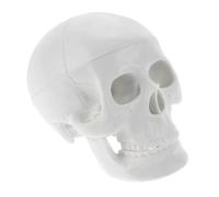 BAZEITFLOW Mini Skull Model PVC Anatomical Skull for Teaching and Halloween Decor Small Easy to Display Desk Shelf Sturdy Skeleton Figure for Drawing Practice and Educational Use