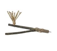 BAZEITFLOW Natural Wood Bird Perch Branch 25cm x 1.5-2.5cm Seagrass Rope Parrot Chewing Toy Boredom Grinding Claw Scratching Tool for Parakeet Finch Cage Accessories and Bird Habitat