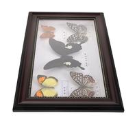 BAZEITFLOW Real Framed Butterfly Specimen Display Frame Decorative Wall Art DIY Home Decoration Mounted Butterfly Collection for Living Room and Desk Ornaments