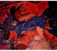 Bazooka - Useless Generation