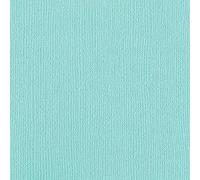 Bazzill 25 Sheets Mono Aruba, 12 x 12