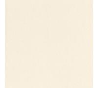 Bazzill Basics Paper 12 x 12-inch Card Stock, Butter Mints