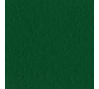 Bazzill Basics Paper 12 x 12-inch Prism Card Stock, Pack of 25, Classic Green