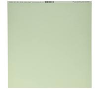 Bazzill Basics Paper 25 ScrapBooking Sheets Canvas Texture, Aloe Vera, Green