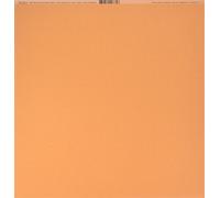 Bazzill Basics Paper 25 ScrapBooking Sheets Canvas Texture, Apricot, Orange