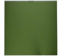 Bazzill Basics Paper 25 ScrapBooking Sheets Canvas Texture, Ivy,Multicolor,12 x 12 Inch