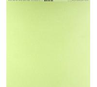 Bazzill Basics Paper 25 Scrapbooking Sheets Canvas Texture, Parakeet