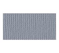 Bazzill Basics Paper 25 ScrapBooking Sheets Canvas Texture, Smoky