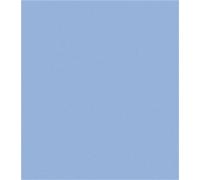 Bazzill Basics Paper 25 ScrapBooking Sheets Canvas Texture, Stonewash