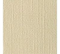Bazzill Basics Paper 25 ScrapBooking Sheets Canvas Texture, Twig