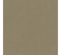 Bazzill Card Shoppe Heavyweight Cardstock 12"X12"-Peanut Cluster 25 per Pack