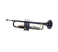 Bb B Flat Purple Trumpet Gold Key Brass Trumpet With Mouthpiece Accessories