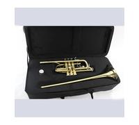 Bb B Tritone Trumpet, Hall Trumpet Church Instrument With Hard Case, Mouthpiece, Cloth And Gloves