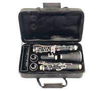 Bb Clarinet 17 Key Sib Klarnet/ABS Body Material Clarinette Beginner Clarinet (Color : E1)