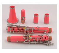 Bb Clarinet 17 Key Sib Klarnet/ABS Body Material Clarinette Beginner Clarinet (Color : E101)