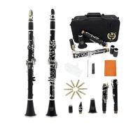 Bb Clarinet for Beginners, Black Clarinet with 17 Keys, Complete Clarinet Cleaning Kit, Music Instrument Set