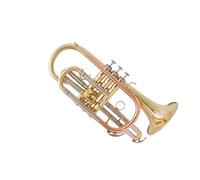 Bb Cornet Brass Trumpet International Musical Instrument With Case Trumpet Instrument For Beginners(Light Grey)