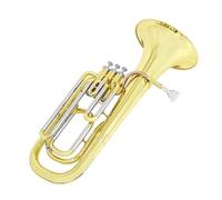 Bb Euphonium Brass Brass Euphonium B Flat Professional Performance Tuba Beginner Adult Practice Portable Bariton Horn