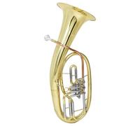 Bb Euphonium Set Professional Euphonium 4 Flat Keys Brass Body Tenor Horn Triple With Case Gloves Straps(Type3 910)