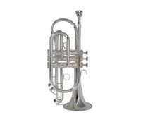 Bb Flat Cornet Trumpet Instrument Silver Plated Trompeta With Mouthpiece And Carry Case Musical Instrument Professional (Color : Silver)