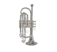 Bb Flat Trumpet Professional Silver Plated Trompeta With Mouthpiece And Carry Case Musical Instrument (Color : Sliver)