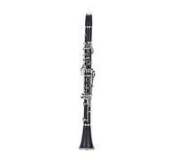 Bb Professional Clarinet 17 Key Hard Rubber Pipe Material Clarinete Instrument Clarinet Set(301)