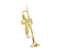 Bb Professional Trumpet Beginner Trumpet | Suitable for Trio Beginners and Grade Exams