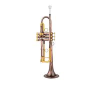 Bb Small Trumpet Golden Key Professional Music Instruments With Case