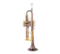 Bb Small Trumpet Red Bronze Golden Key Professional Music Instruments With Case