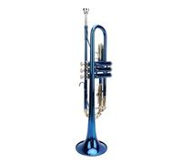 Bb Standard Trumpet for Beginner, Trumpet Instrument for Student School Band Orchestra Adult Kid Beginner, with Cleaning Cloth, Mouthpiece, Straps, Gloves, Storage Bag