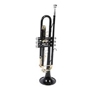 Bb Standard Trumpet Set, Brass Student Trumpet Instrument with Hard Case, Black Standard Student Trumpet for Beginners Band Professional Performance