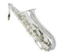 Bb Tenor Saxophone Gold Silver Professional Brass(Type 1)