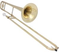Bb Tenor Trombone for Adult Beginners, Complete with Essential Accessories for Easy Learning and Practice