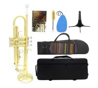 Bb Trumpet B Flat Brass Gold Silver Trumpet For Beginners With Accessories (Color : 01)