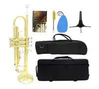 Bb Trumpet B Flat Brass Gold Silver Trumpet For Beginners With Accessories (Color : 02)
