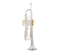 Bb Trumpet B Flat Brass Silver Plated Professional Trumpet Musical Instruments With Leather Case (Color : Gold)