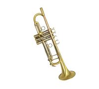 Bb Trumpet Brass Plated Beginner Trumpet | Professional Instrument, with Case