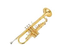 Bb Trumpet Instrument Quality Brass Silver Plated Surface Trumpet With Case Accessories (Color : Gold)