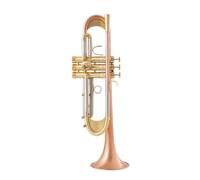 Bb Trumpet Quality Gold Lacquer Silver Plated Trumpet Brass Musical Instruments Composite Type Trumpet (Color : Gold)