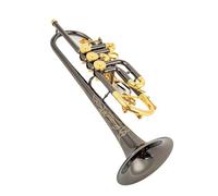 Bb Trumpet Rotary Valve Brass Professional Instrument Beginner Trumpet