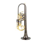 Bb Trumpet Rotary Valve Type B Flat Brass Flat Key Professional Trumpet Musical Instruments