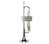 Bb Trumpet Set, Standard Trumpet Set with Mouthpiece Plated Bass Wind Instrument for Student Beginner (Silver