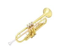 Bb Trumpet Standard B Flat Brass Trumpet Instrument Phosphor Bronze Pitch Pipe Beginners Playing