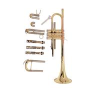 Bb Trumpet Standard B Flat Trumpet Brass Instrument Phosphor Bronze Mouthpiece White Copper Pitch Changer