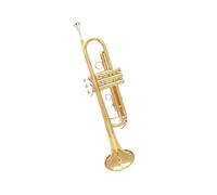 Bb Trumpet Standard Professional Teaching And Performance Of B Flat Trumpet For Adult Beginners