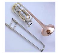 Bb Tune Gold Plating Phosphor Copper Tenor Trombone F Key Performing Instrument Trombone Kit (Color : B)