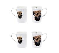 (BB9) Bone China Set of 4 Border Terrier Dog Mugs Presentation Gift Boxed